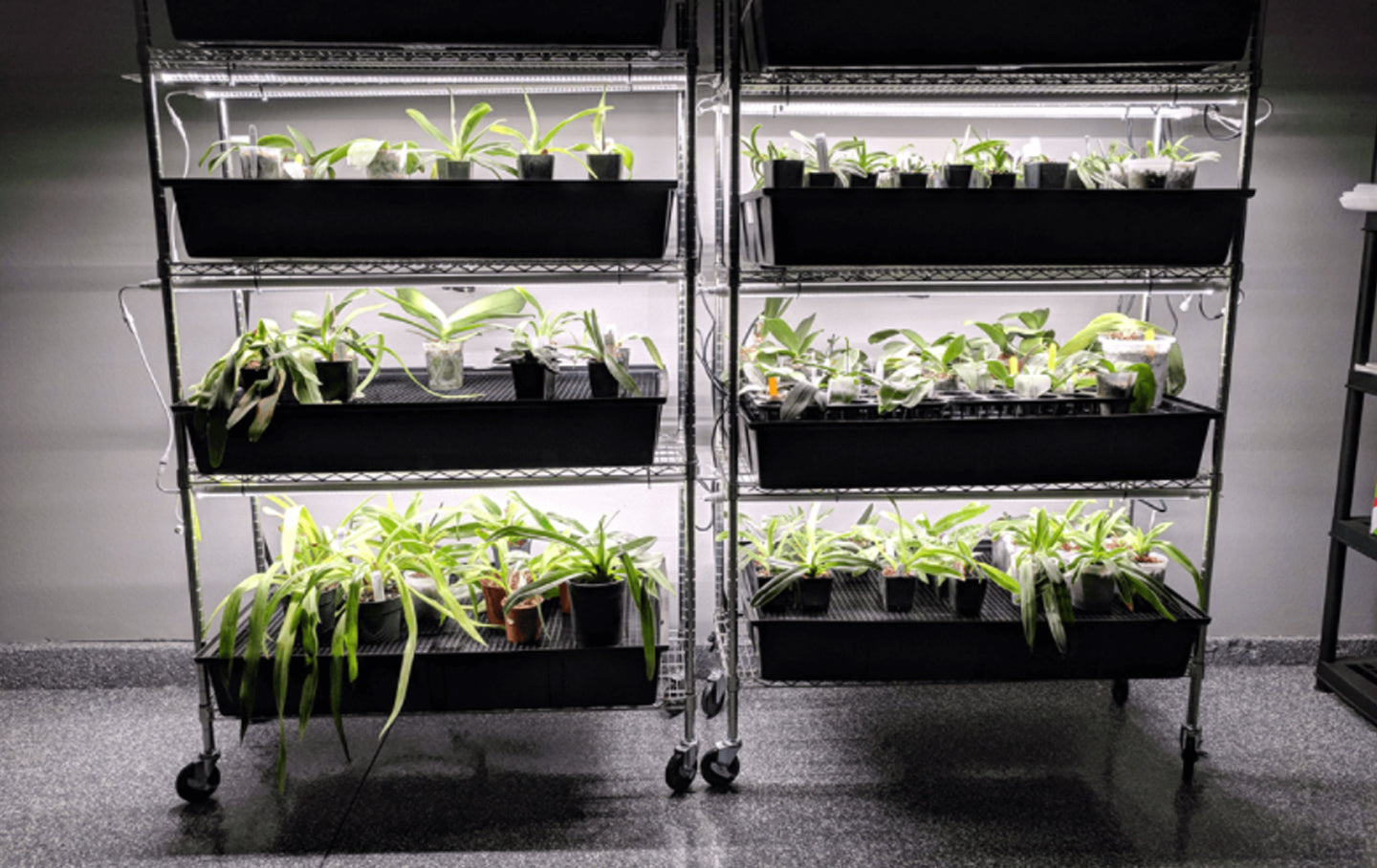Can I run my LEDs 24/7?
