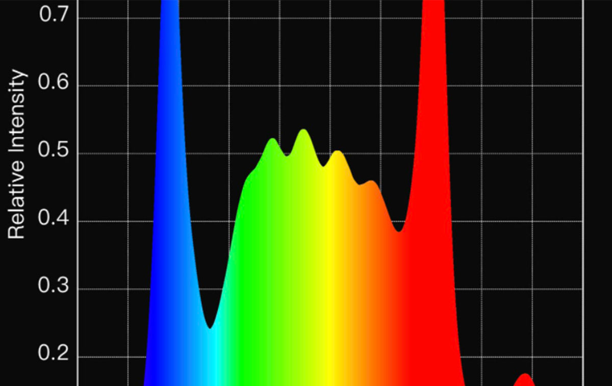 Par Map Color What is PAR, and what does it mean for me? - BotanicalLEDs