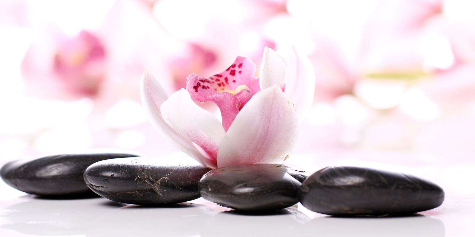 LET’S GROW Together